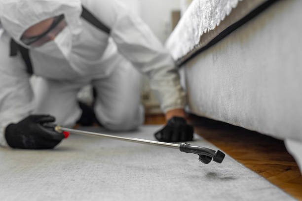 Professional Bed Bug Control technician working in Urbana, IL