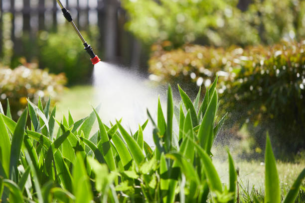 24/7 Emergency Bed Bug Control experts in Urbana, IL