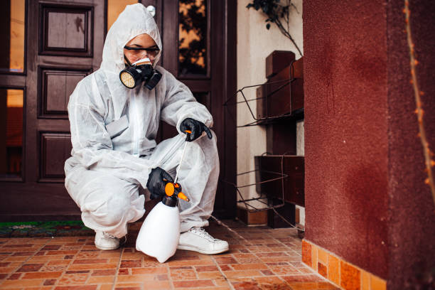 Reliable Bed Bug Control contractor in Urbana, IL by Nex Pest Control